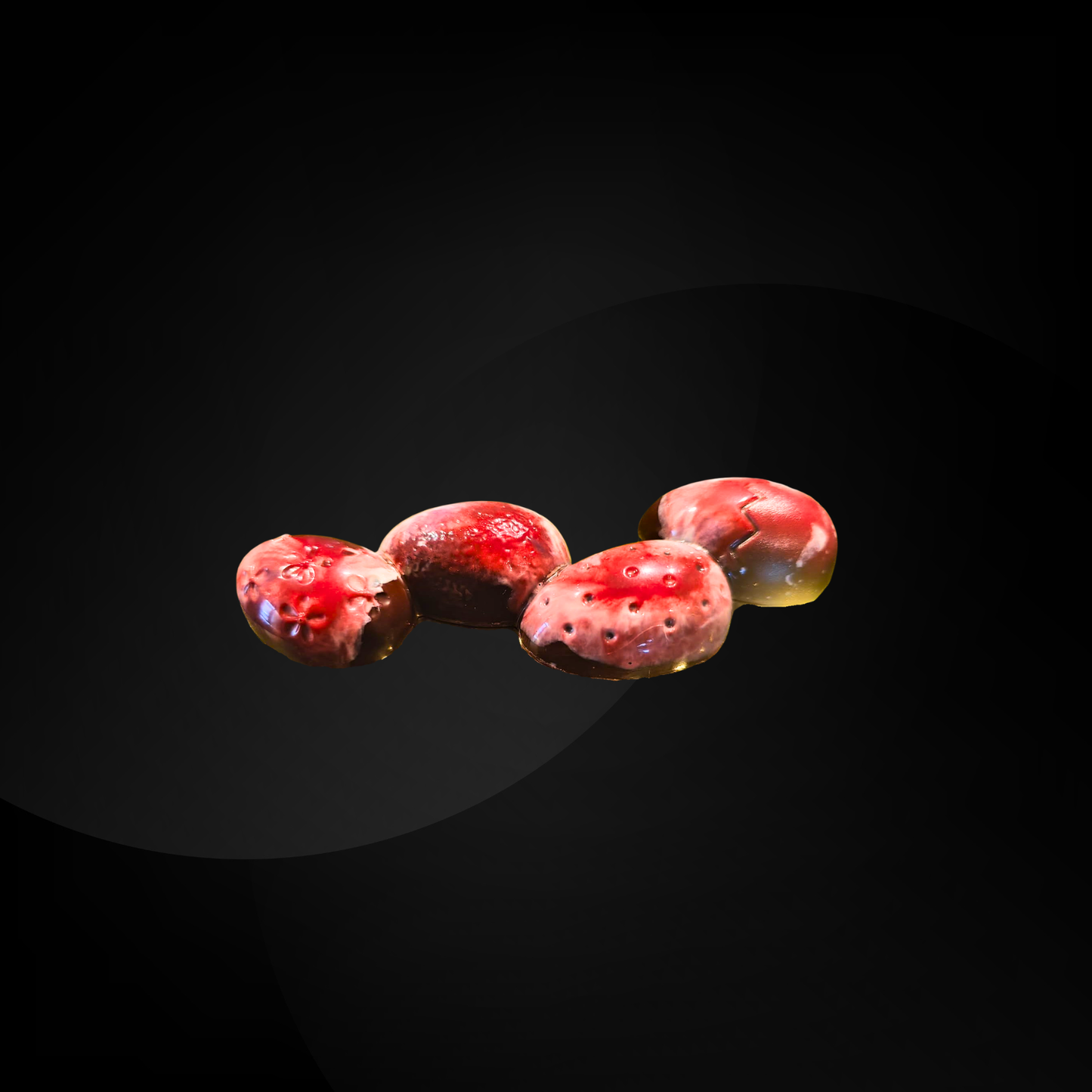 Barre Framboise & Praliné | Chocolat noir