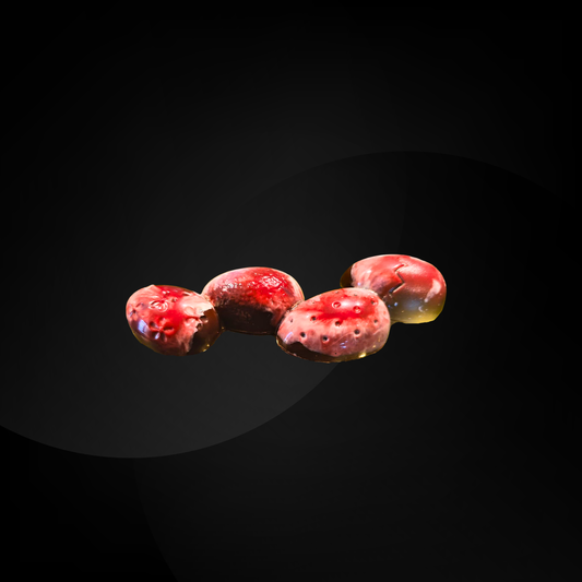 Barre Framboise & Praliné | Chocolat noir