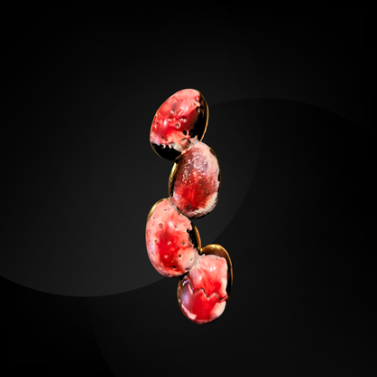 Barre Framboise & Praliné | Chocolat noir